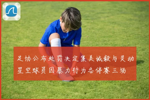 足协公布处罚决定集美诚毅与灵动星空球员因暴力行为各停赛三场