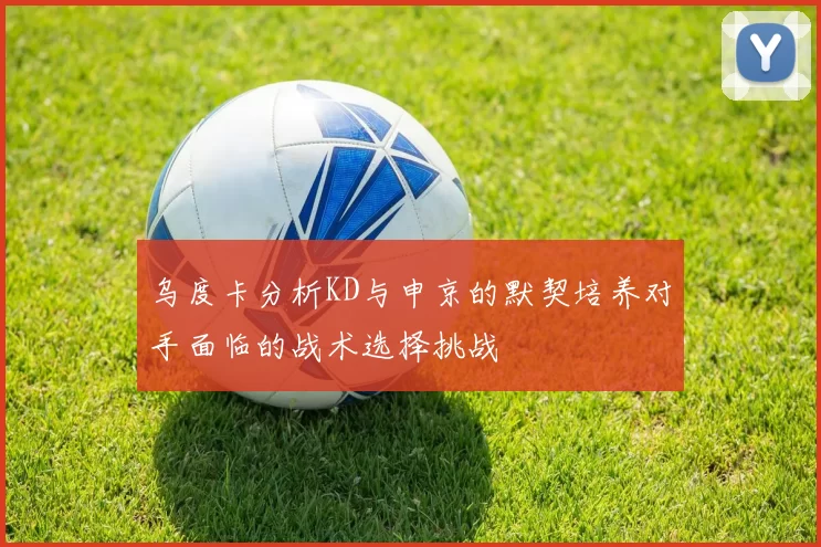乌度卡分析KD与申京的默契培养对手面临的战术选择挑战