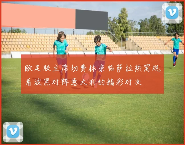 欧足联主席切费林亲临萨拉热窝观看波黑对阵意大利的精彩对决